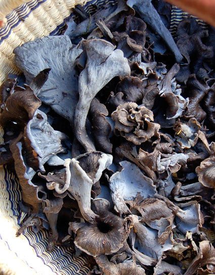 Fresh black trumpet mushrooms in a basket
