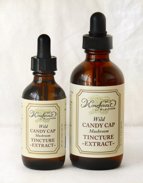 Dropper bottles of Wine Forest Wild Foods Wild Candy Cap Mushroom Tincture Extract, large and small