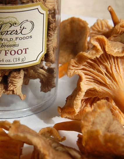 Wine Forest Wild Foods premium quality gourmet whole fresh and dried Wild Yellow Foot  Mushrooms
