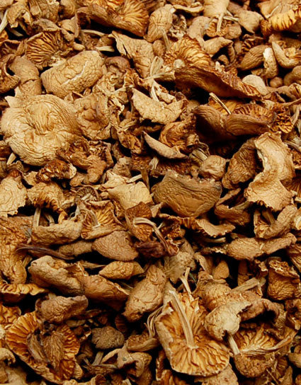 Wine Forest Wild Foods best quality gourmet Dried Wild Mousseron Mushrooms