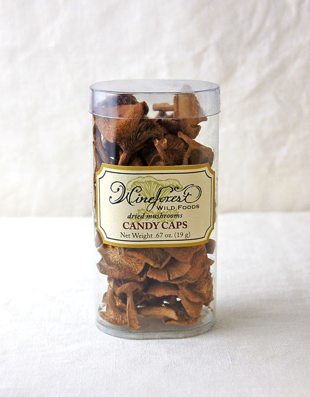 Wine Forest premium dried wild candy cap mushrooms in a small resealable container