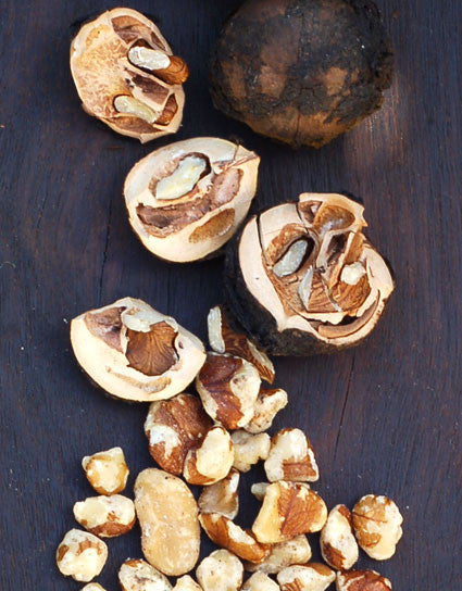 Wild black walnuts in hulls, shells, and shelled