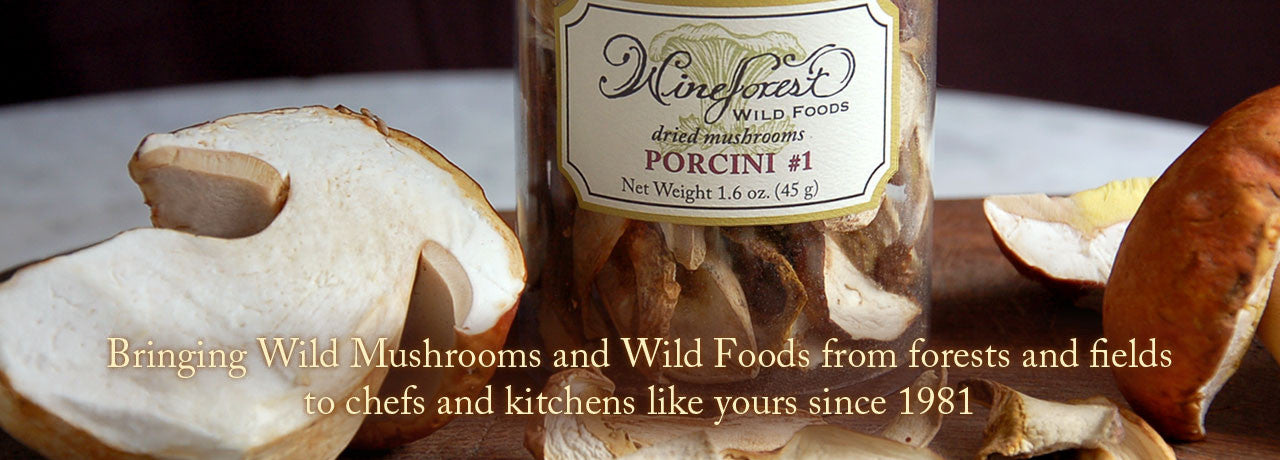 Wine Forest Wild Foods premium quality sustainably sourced dried and fresh wild porcini mushrooms for chefs and kitchens like yours since 1981